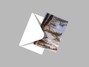 To buy a print or any of the below please click on the images